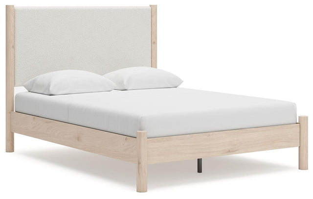 Ashley Cadmori - Two-tone - Queen Upholstered Panel Bed